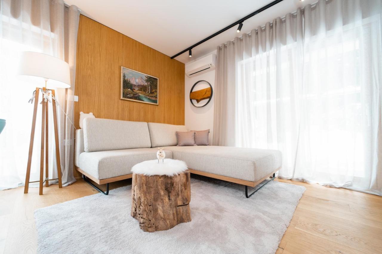 Bor In Bor Luxury Apartment With Sauna & Garden - クランスカゴーラ エクステリア 写真